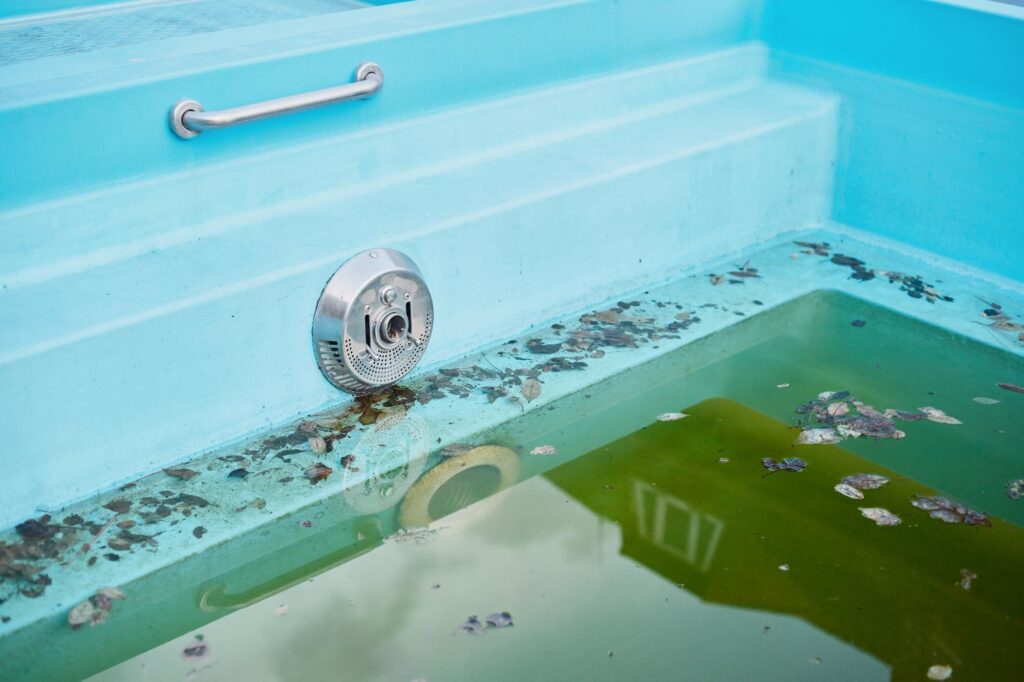 Einbaupool im Frühjahr mit grünem Wasser und Laub auf der Stufe