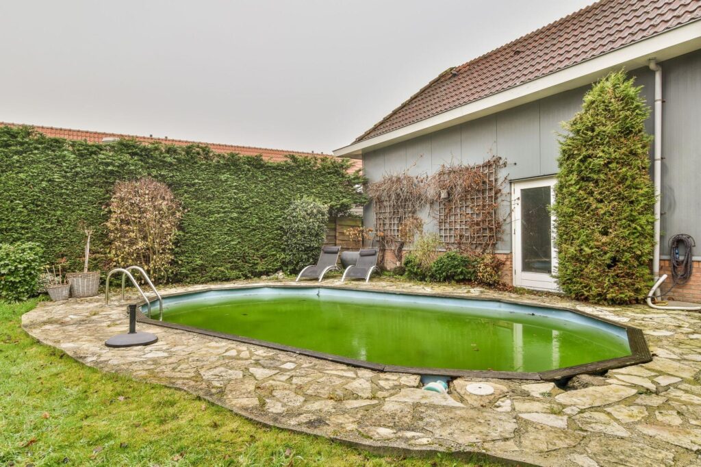 Ovaler Gartenpool mit grünem, veralgtem Wasser hinter einem Haus